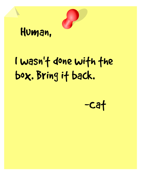 Notes From Cat Box